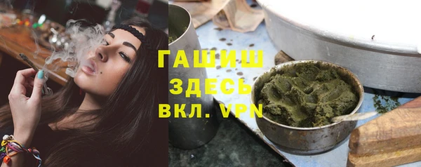 гидра Медвежьегорск