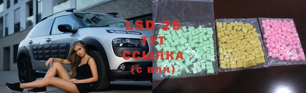 гидра Медвежьегорск