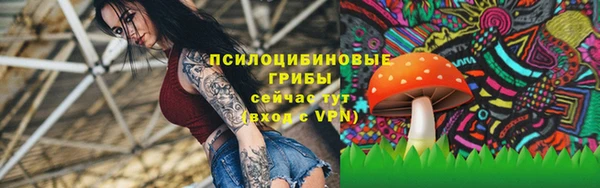 гидра Медвежьегорск