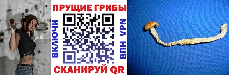 Псилоцибиновые грибы мицелий  Облучье 
